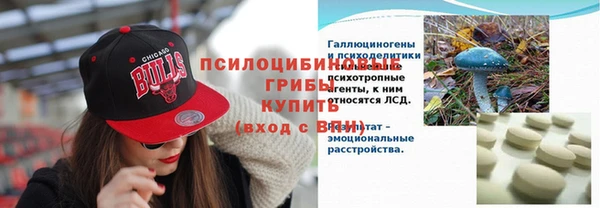 дурь Аркадак