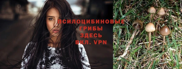 MDMA Армянск