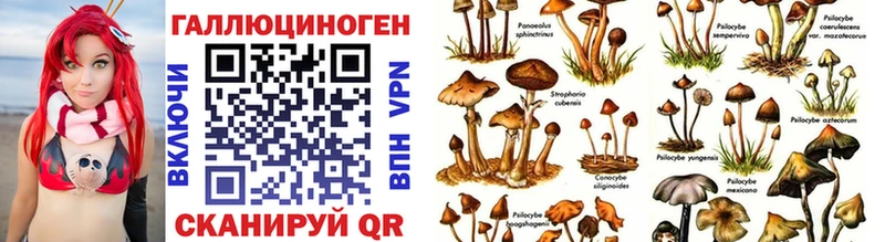 Псилоцибиновые грибы прущие грибы  Купить закладки  Всеволожск 